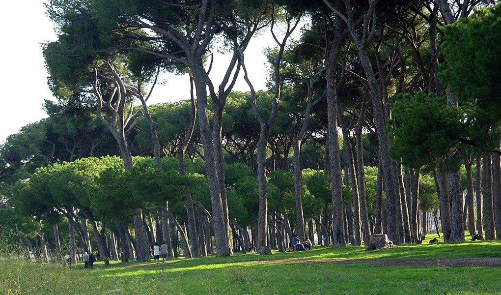 La Pineta di Castel Fusano