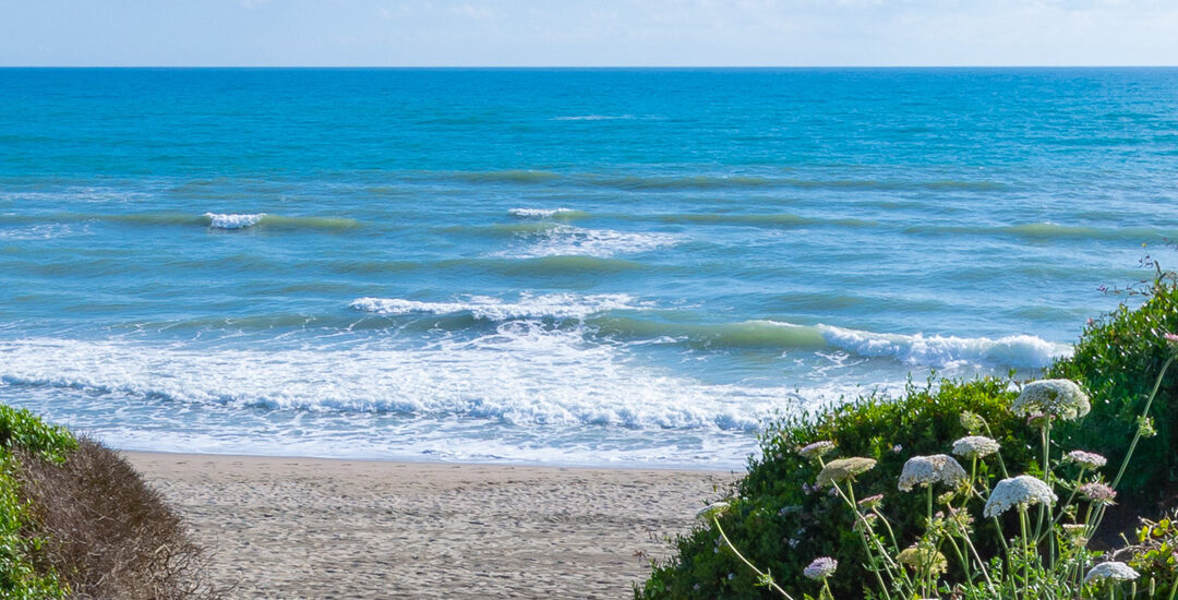 Spiaggia di Capocotta