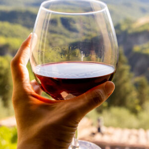 Mano femminile tiene un calice di vino rosso davanti ad un panorama rurale - Foto di boumenjapet da Adobe Stock.jpeg