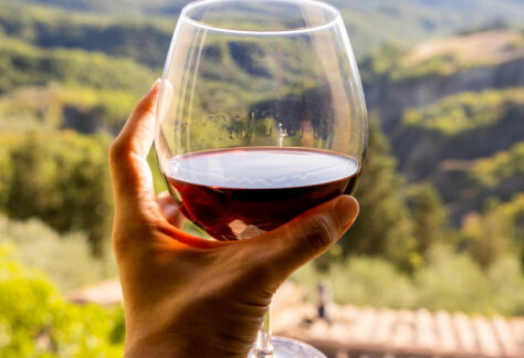 Mano femminile tiene un calice di vino rosso davanti ad un panorama rurale - Foto di boumenjapet da Adobe Stock.jpeg