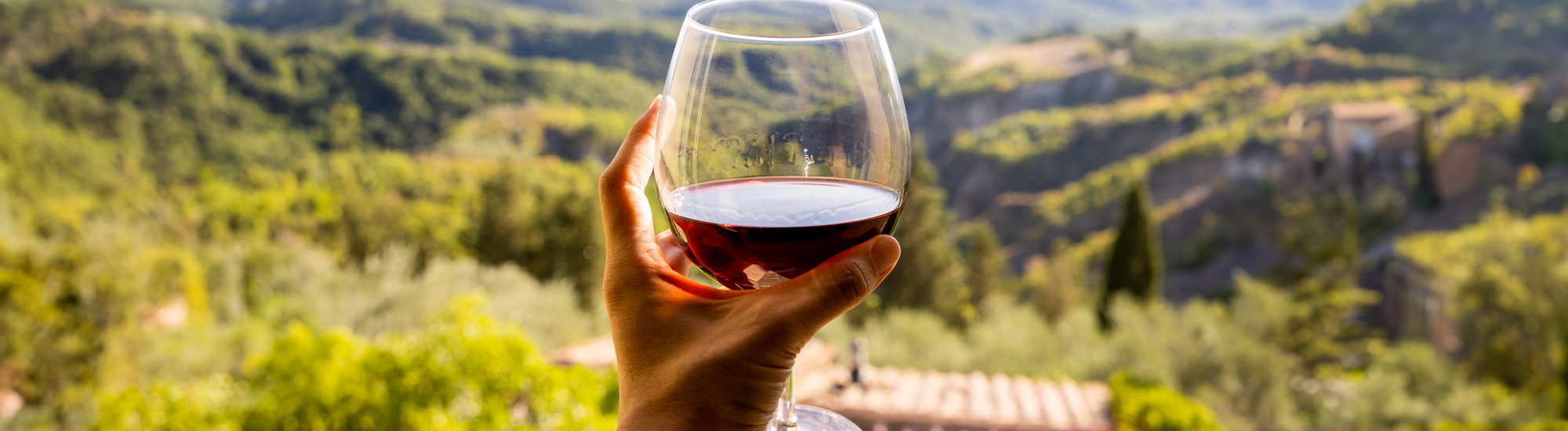 Mano femminile tiene un calice di vino rosso davanti ad un panorama rurale - Foto di boumenjapet da Adobe Stock.jpeg