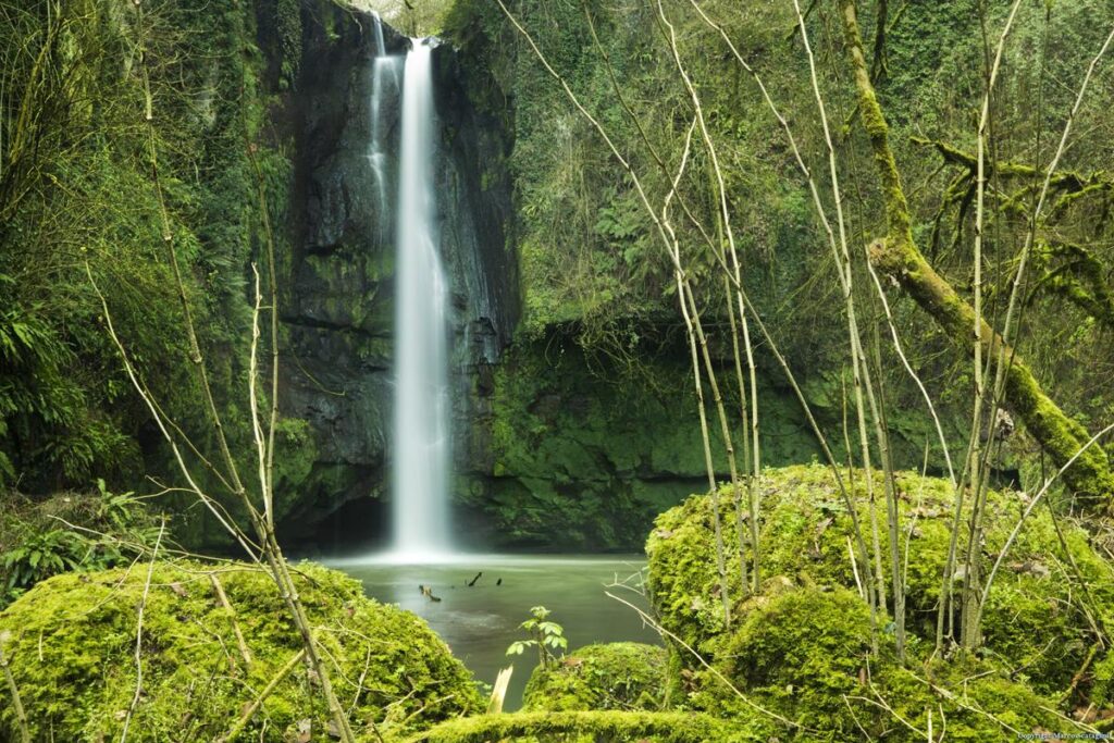 Cascata del Picchio - Facebook Marco Scataglini @ParchiLazio.it