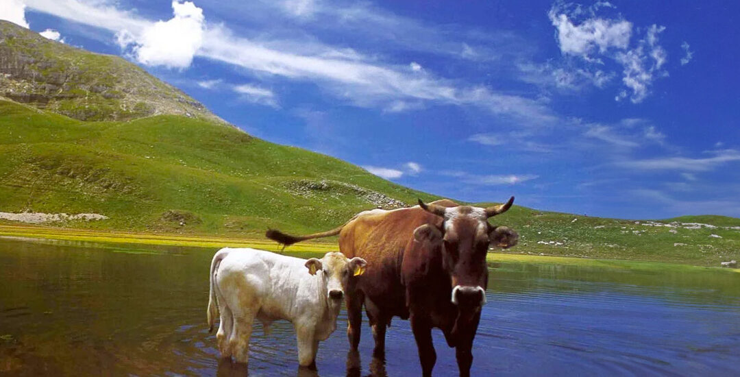 Riserva Regionale Montagne della Duchessa