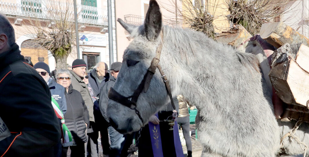 La grande Festa di Sant’Antonio Abate a Posta