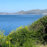 Parco regionale Riviera di Ulisse (LT) - area naturale di Gianola da www.parchilazio.it