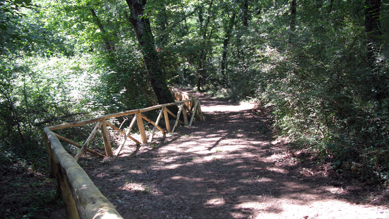 Sentiero nel Bosco del Castellaccio, foto da www.cascatemontegelato.it