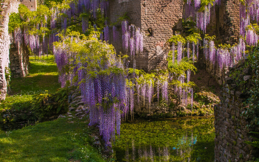 Le 3 donne che idearono il Giardino di Ninfa