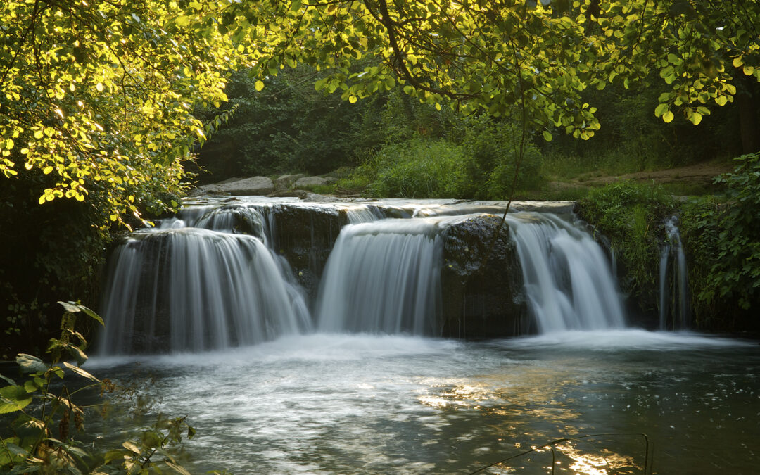 Puliamo il Parco Valle del Treja