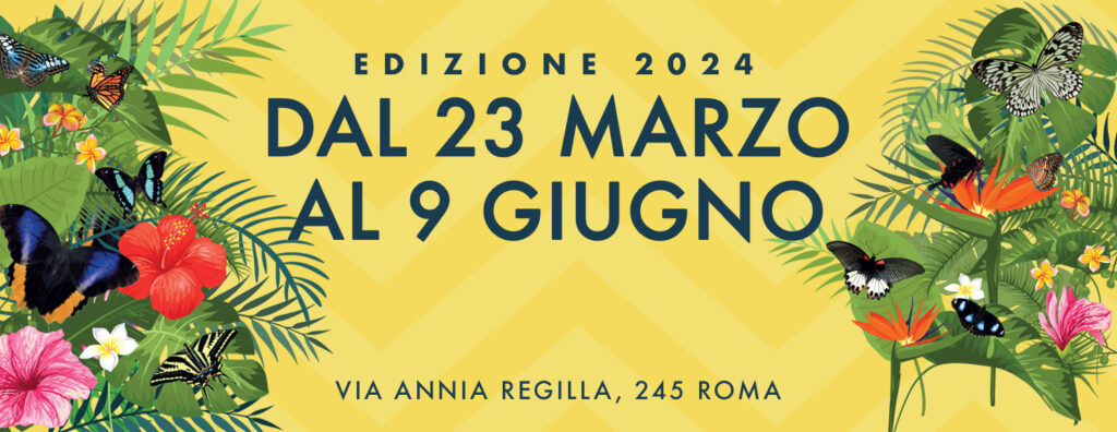 Locandina La Casa delle Farfalle 2024