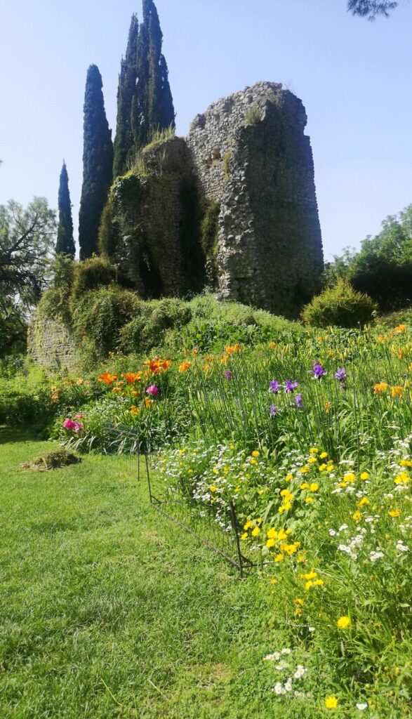 Il colletto di fiori variopinti