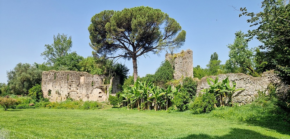 I Banani disposti nell'area più assolata del giardino