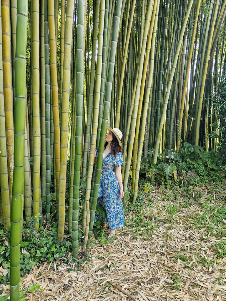 I Bambù del Giardino di Ninfa
