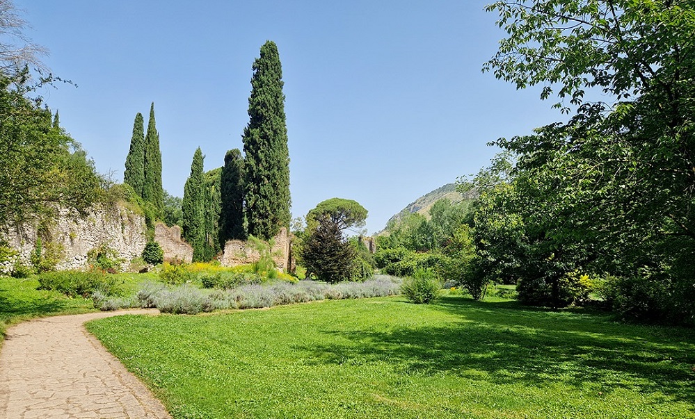 Viale delle Lavanda