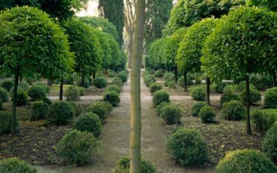 I Giardini della Landriana riaprono al pubblico