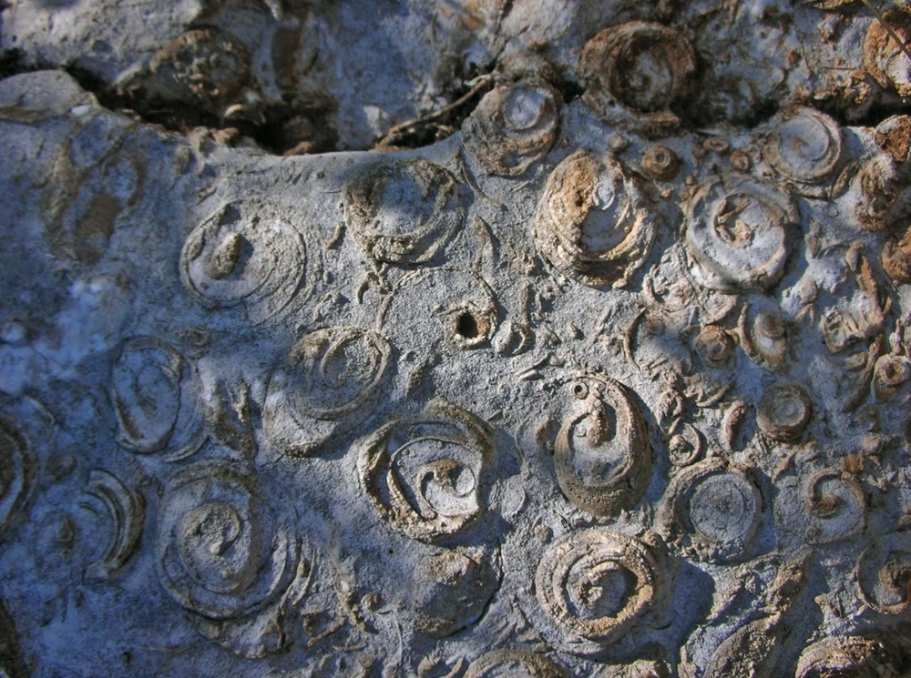 La Scogliera Cretacea Fossile a Rocca di Cave - Foto @ FB Smurc - Sistema museale Rocca di Cave