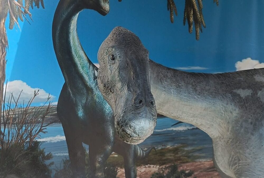 Dinosauri, fossili, e stelle. Incredibile viaggio a Rocca di Cave
