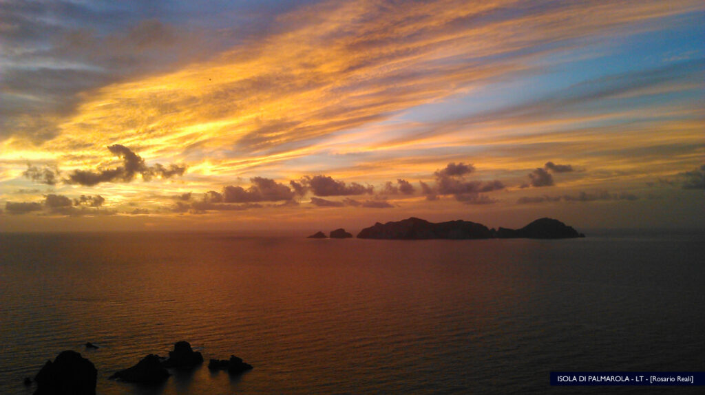 Palmarola