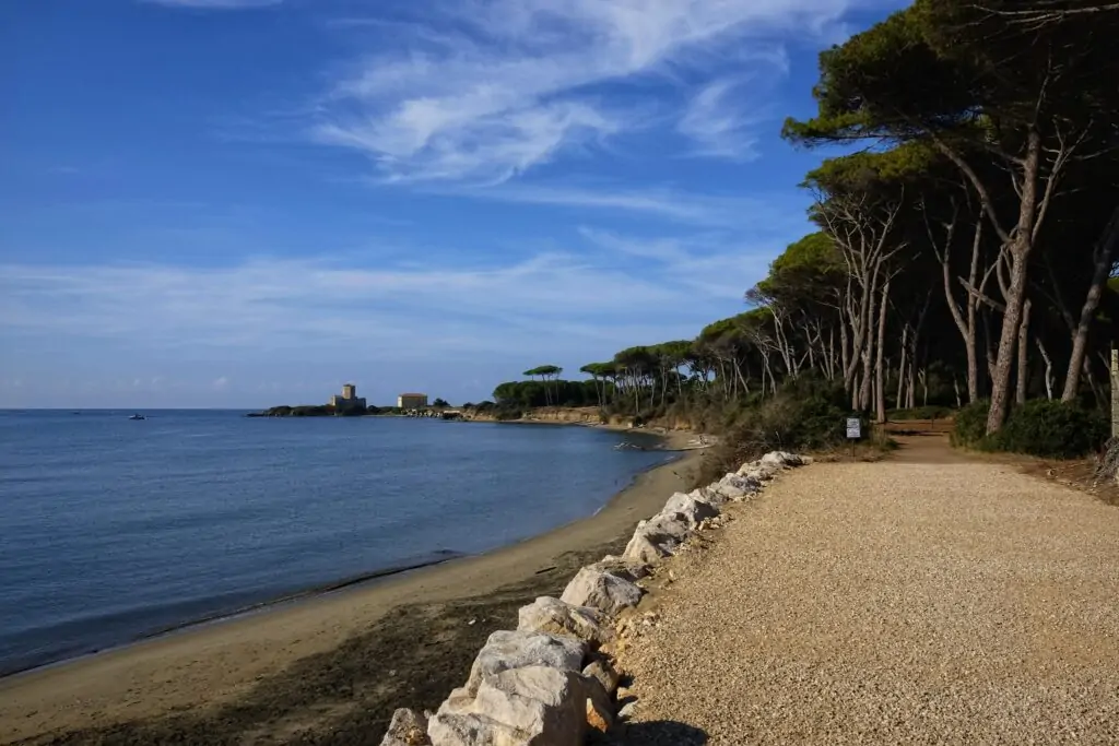 La pineta che conduce alla spiaggia di Torre Astura
