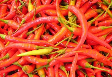 Rieti Cuore Piccante - Facebook @fieramondialedelpeperoncino