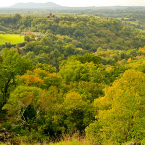 Veduta dall'alto della Selva del Lamone