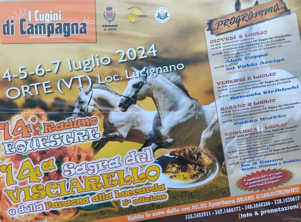 Locandina Sagra del Visciarello
