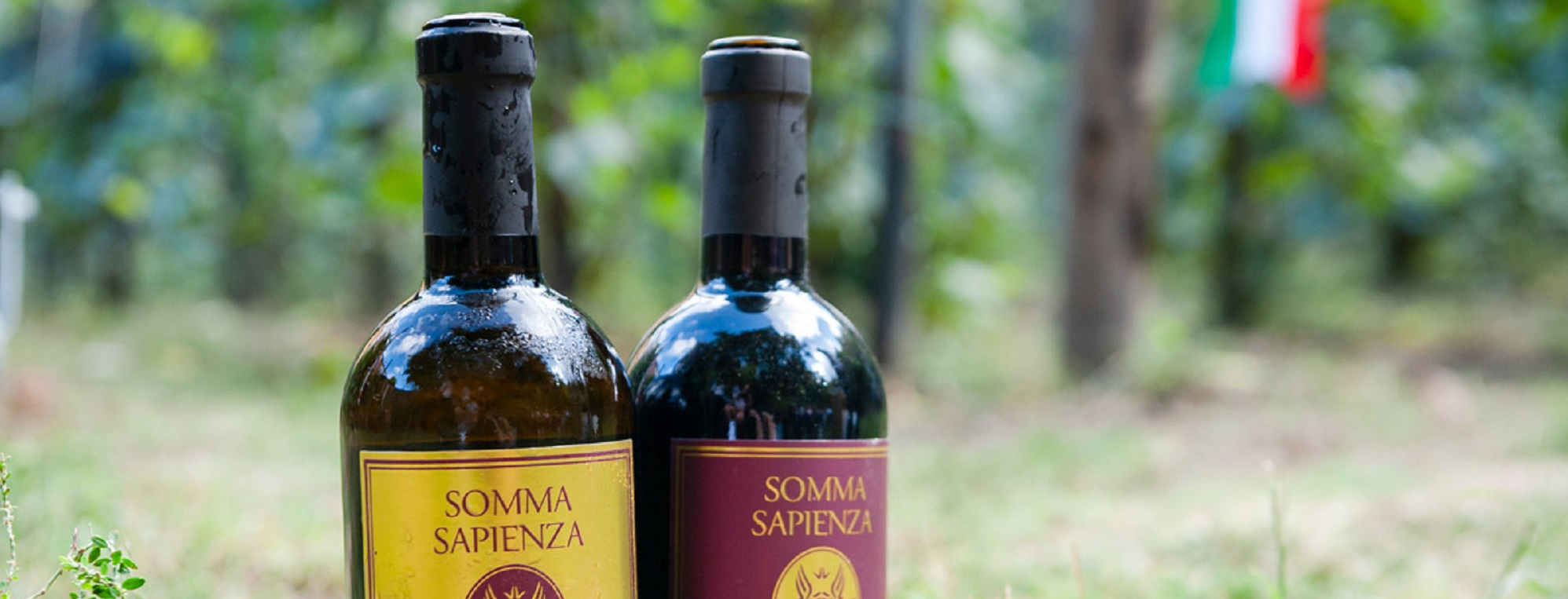 Vendemmiata Romana - www.senseventi.com