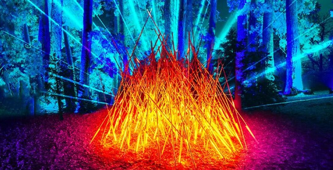 Trame di Luce all’Orto Botanico di Roma