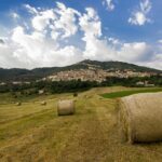 Alvito - www.visitalvito.it