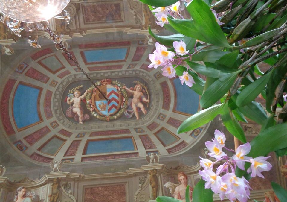 Orchidee dal Mondo a Monte Porzio Catone
