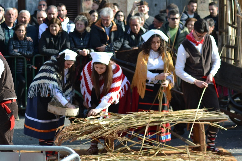 Festa di Santa Maria Salome, benedizione del grano e delle sementi