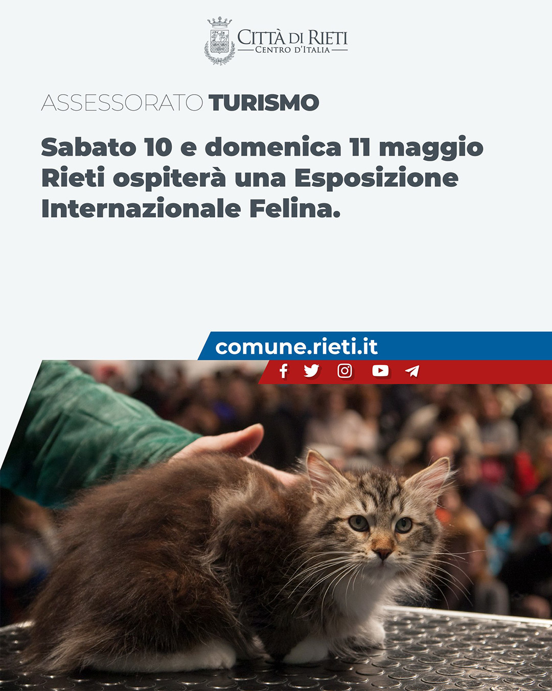 Locandina Esposizione Internazionale felina rieti
