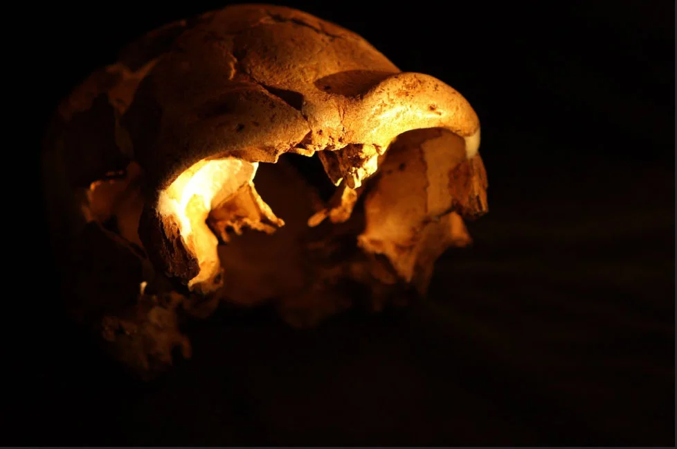 Homo di Argil