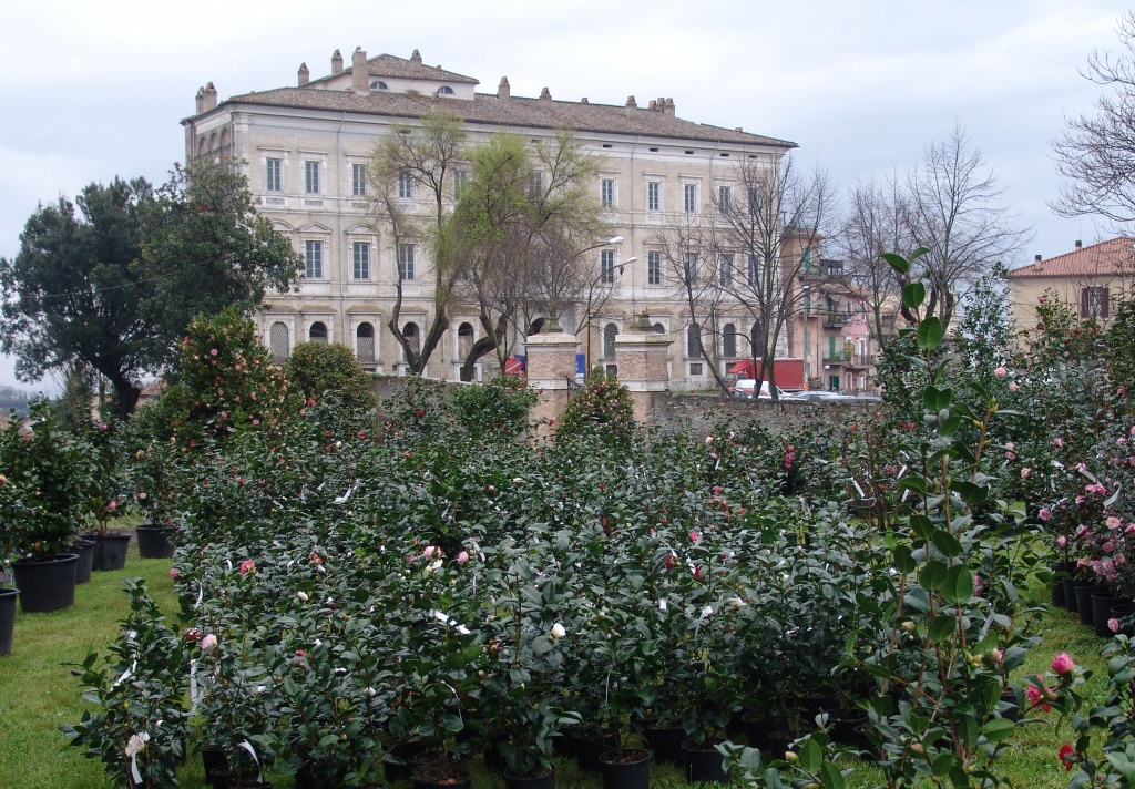 Palazzo e Parco Sforza Cesarini - www.retedimorestorichelazio.it