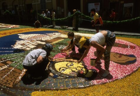 posa dei petali all'Infiorata di Genzano di Roma