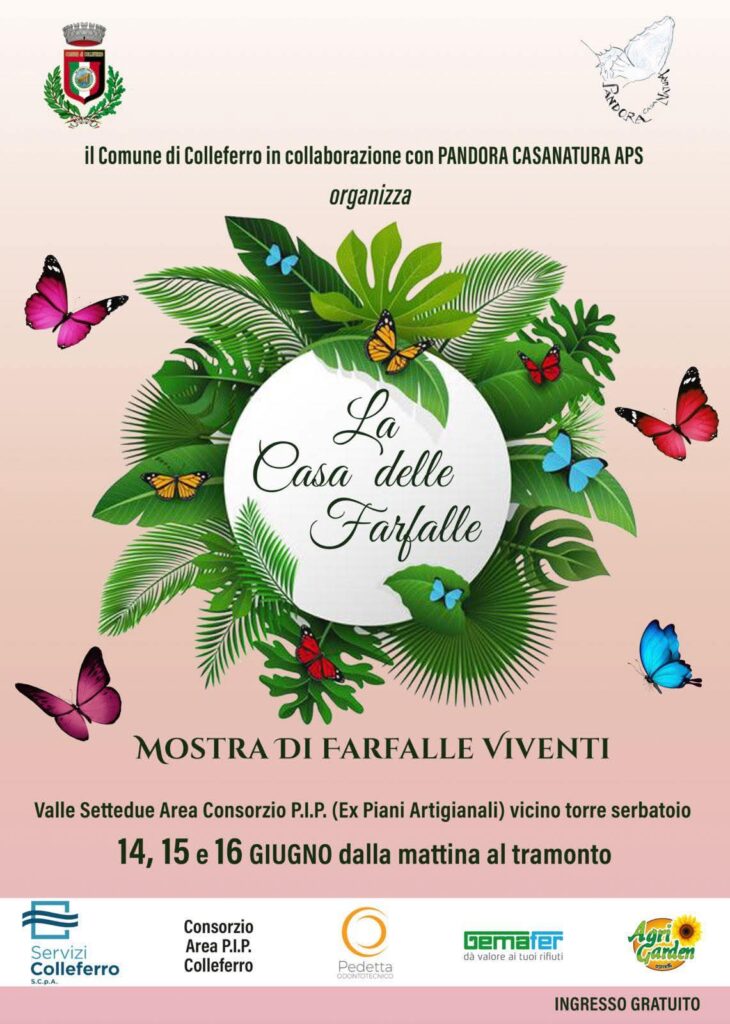 Locandina Farfalle Colleferro 2025