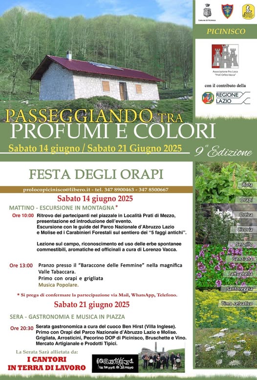 Locandina della Festa degli Orapi di Picinisco, contiene il programma con in alto il titolo e loghi, sullo sfondo un rifugio montano