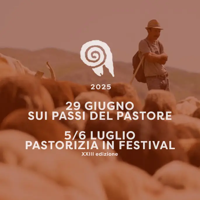 Locandina del Pastorizia Festival di Picinisco, contiene titolo e date, sullo sfondo pecore al pascolo con pastore 