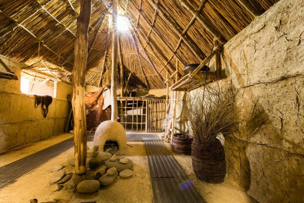 Museo della Preistoria della Tuscia e della Rocca Farnese- Facebook @MuseoDellaPreistoriaDellaTusciaEDellaRoccaFarnese