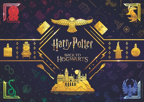 Locandina dell'iniziativa Hanry potter a Tarquinia