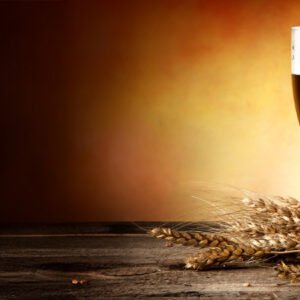 Boccali di birra e spighe di grano