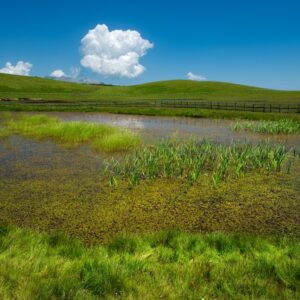 Oasi WWF di Lago Secco
