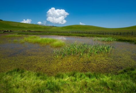 Oasi WWF di Lago Secco