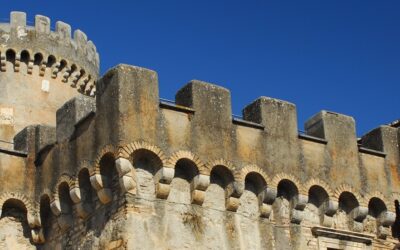 A Fiano Romano il gesto atletico diventa arte