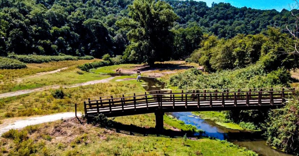 Valle del Sorbo e Mola di Formello - comune.formello.rm.it