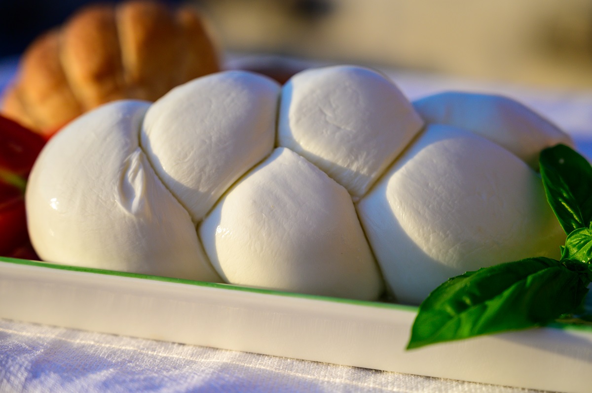 Mozzarella di Bufala Campana DOP