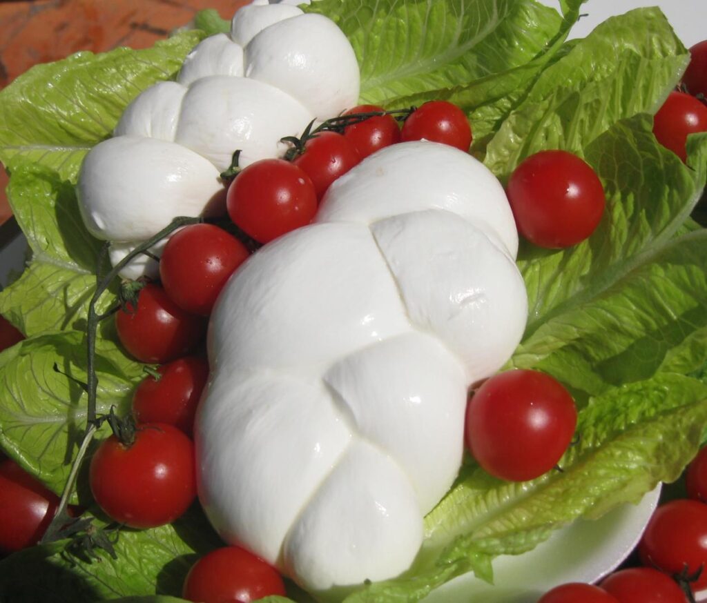 Mozzarella di bufala campana DOP