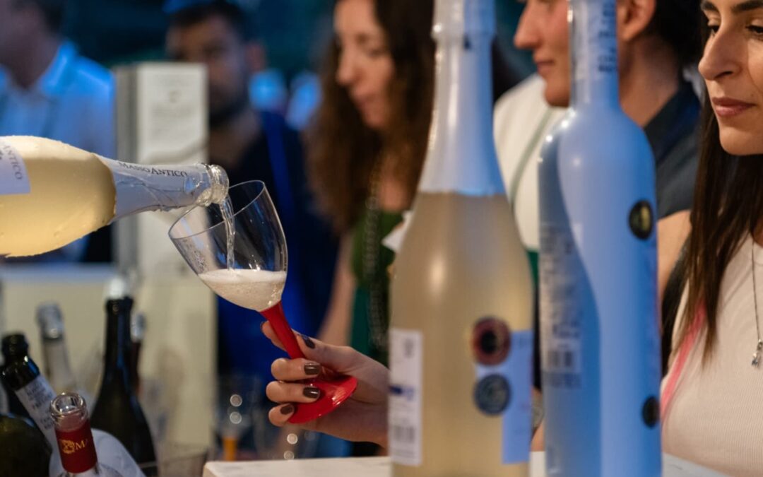 I Migliori Vini del Lazio a Monte Porzio Catone