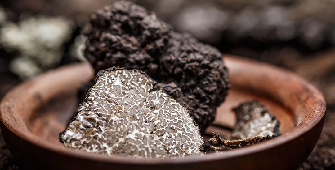 A Viterbo “I Festival del Tartufo della Tuscia”.