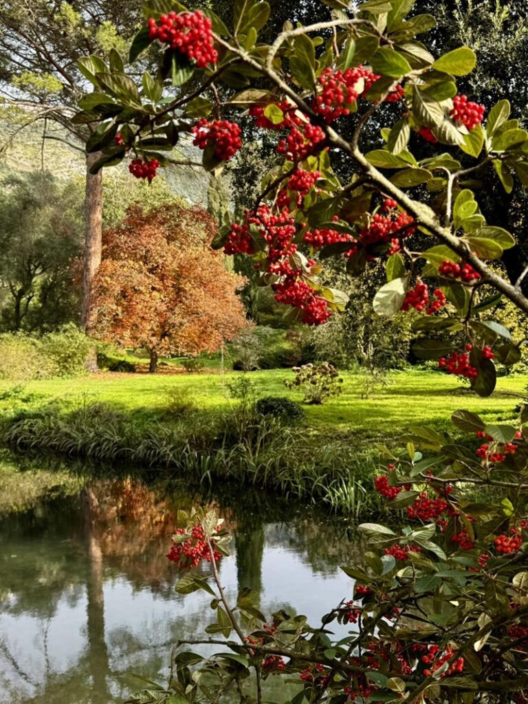 Il Giardino di Ninfa d'inverno