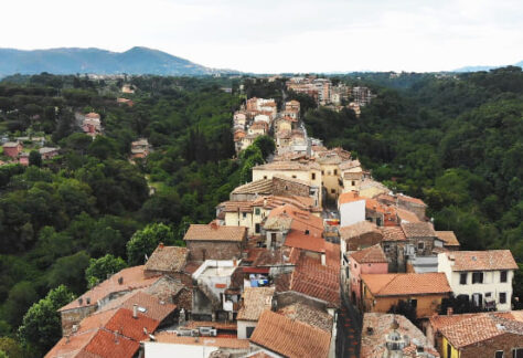 Gallicano nel Lazio - Facebook @Infiorata-Gallicano-nel-Lazio